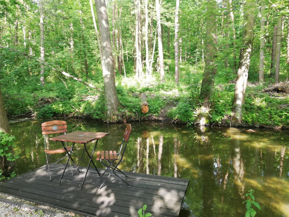 Guest house Zakatek Wilenski Mragowo